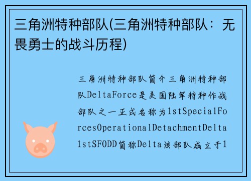 三角洲特种部队(三角洲特种部队：无畏勇士的战斗历程)